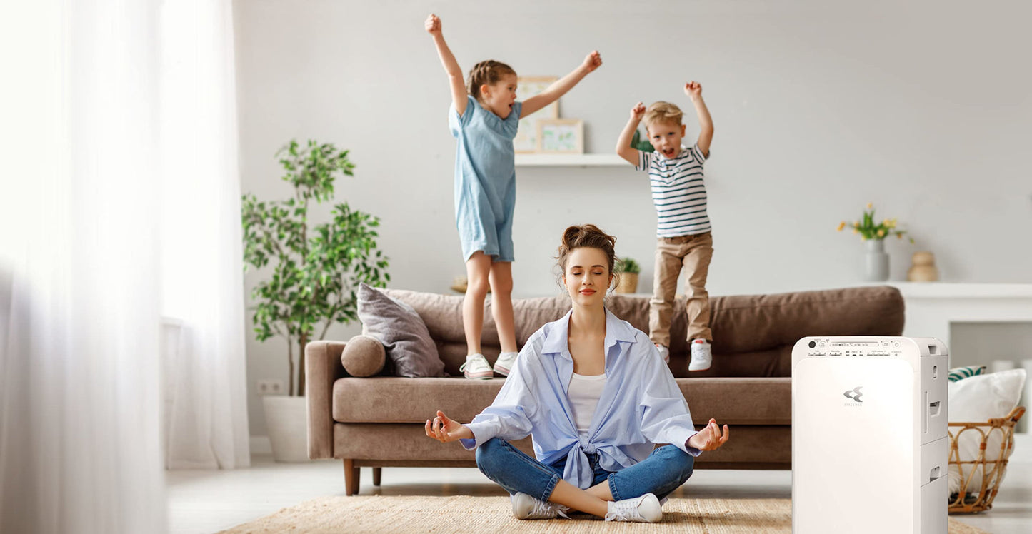 Purificatore d'aria Daikin MC55W