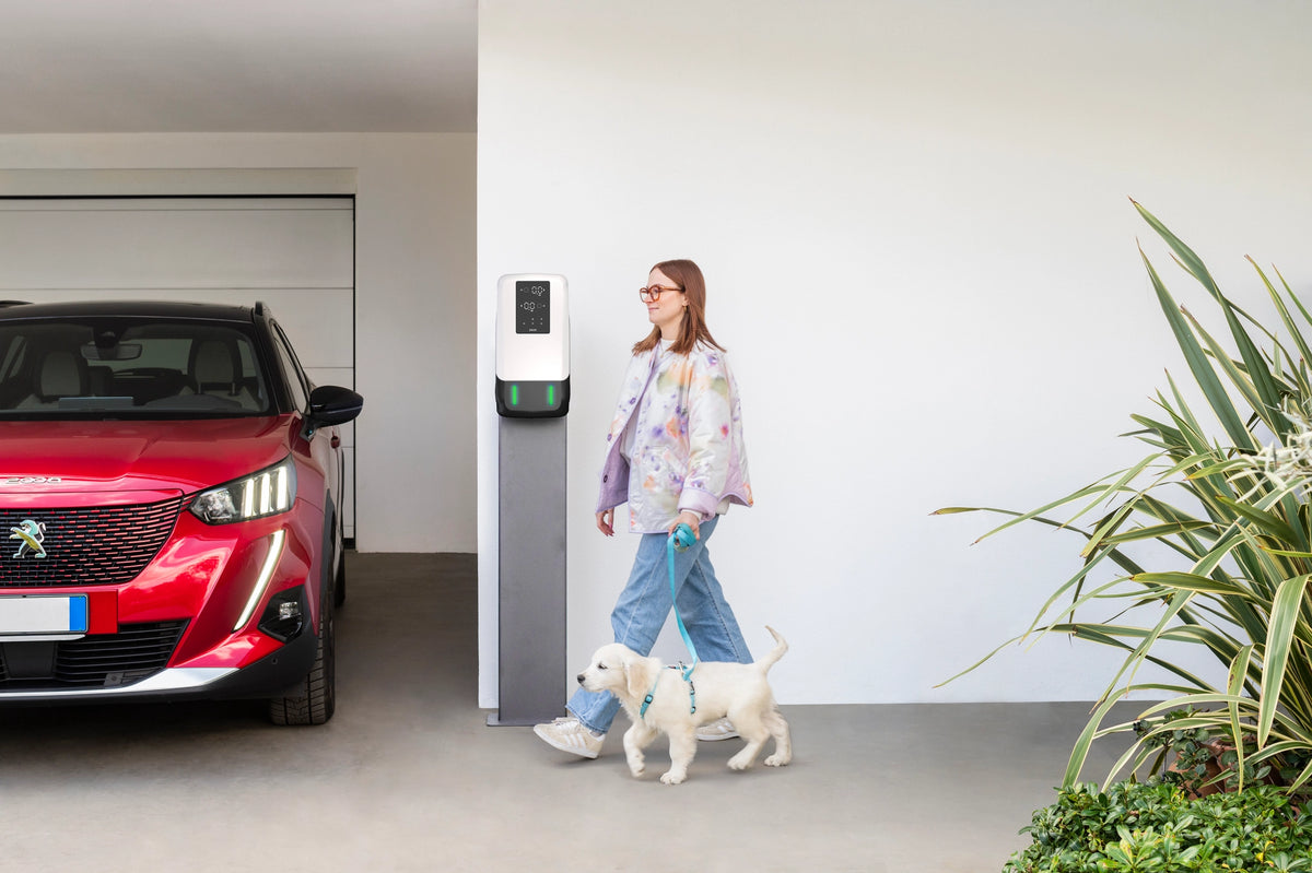 Dazebox Duo S Trifase 2x22 kW con 2 prese Tipo2 - Colonnina di ricarica